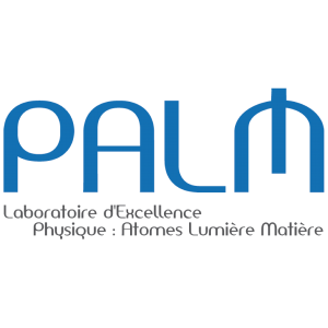 logo PALM