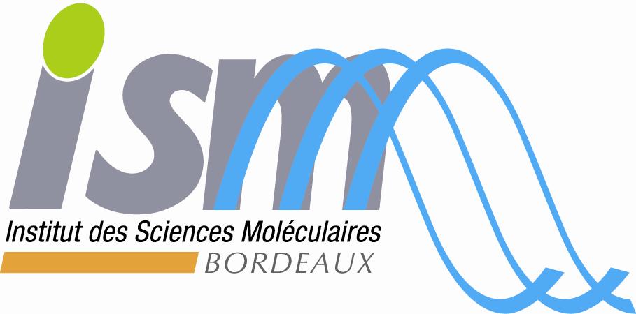 logo de l'ISM